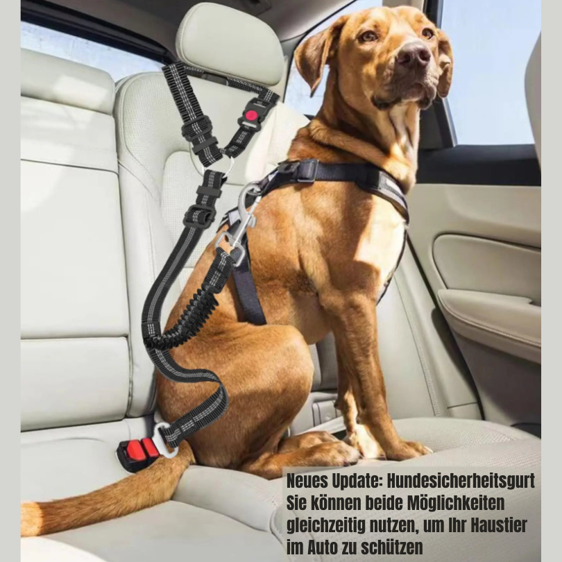 Zwei-Wege-Schutz-Sicherheitsgurt für Hunde im Auto