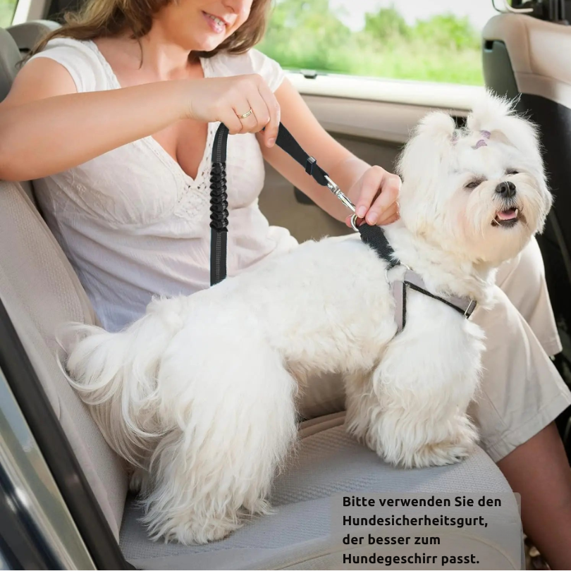 Zwei-Wege-Schutz-Sicherheitsgurt für Hunde im Auto