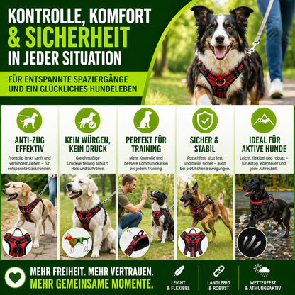 Hundegeschirr mit Frontclip & reflektierenden Elementen