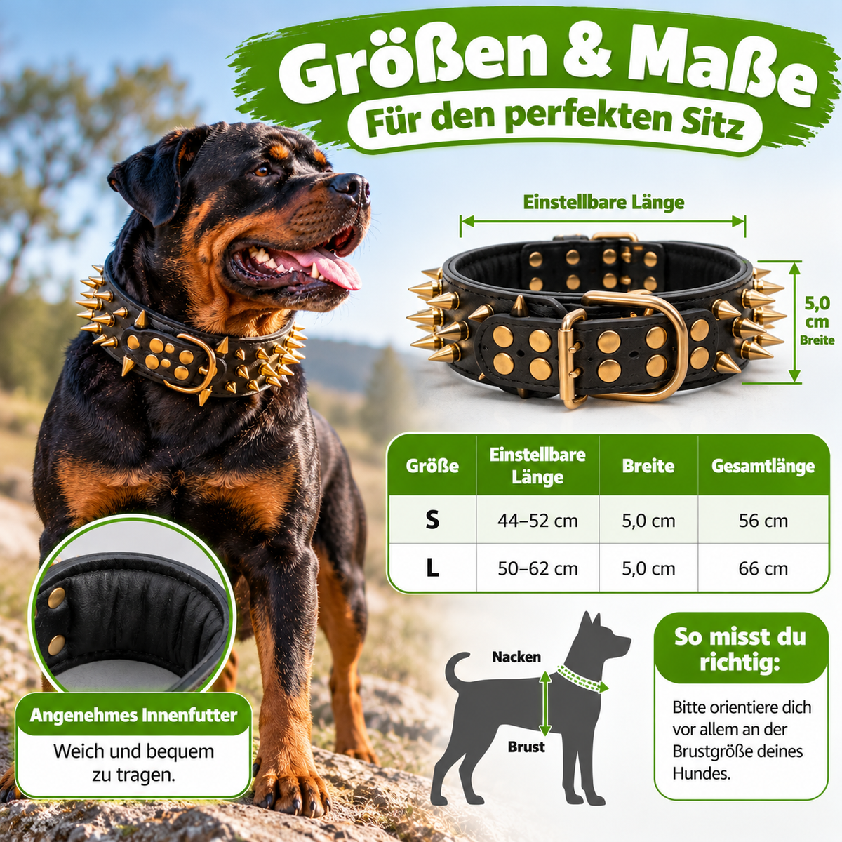 Hundehalsband mit Nieten für große Hunde