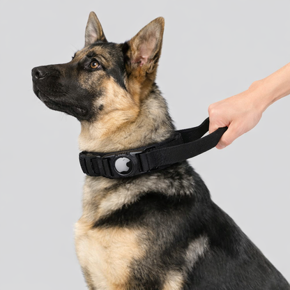 AirTag Hundehalsband mit integrierter Halterung