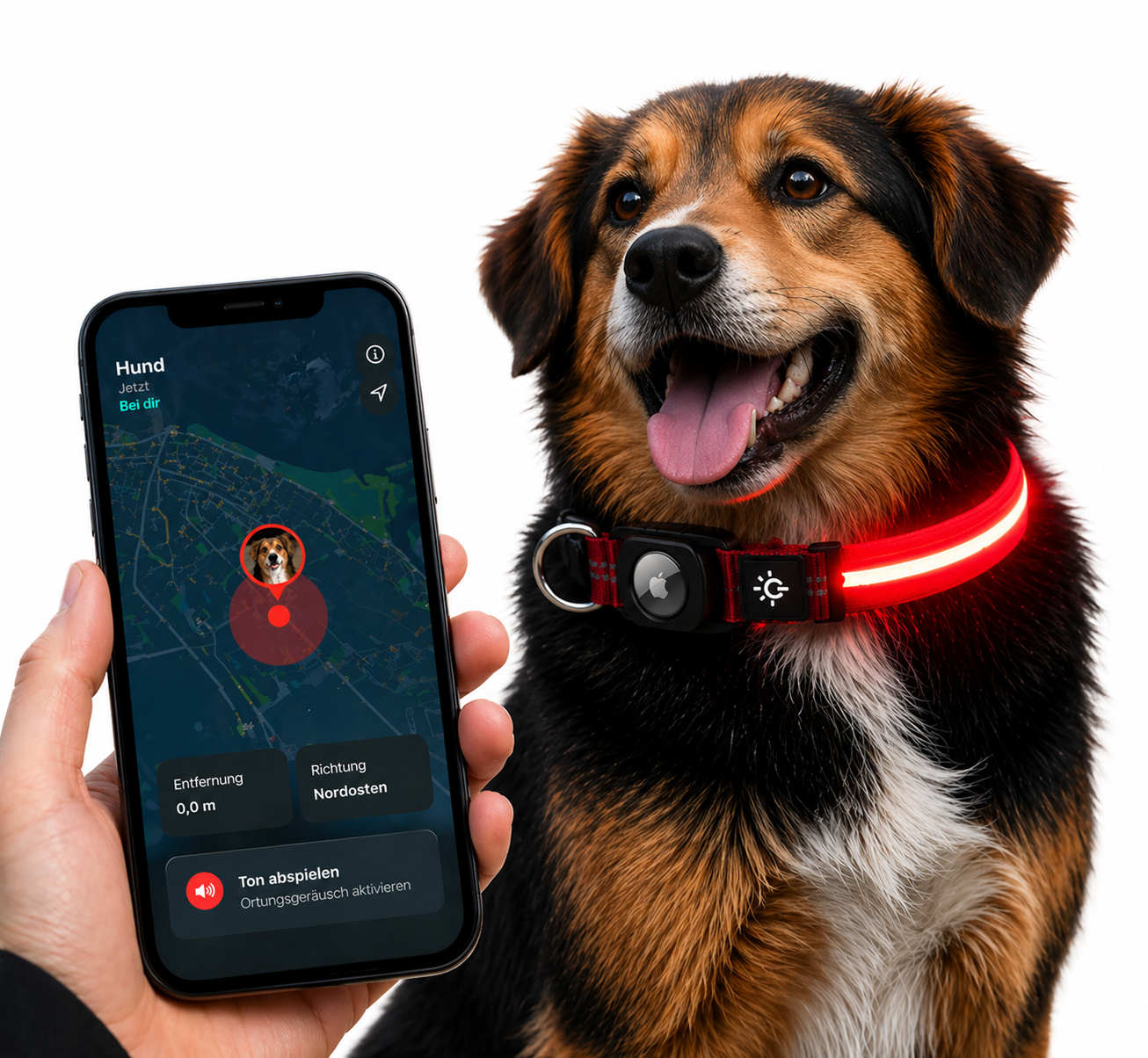 Wasserdichtes LED AirTag Hundehalsband mit USB-C