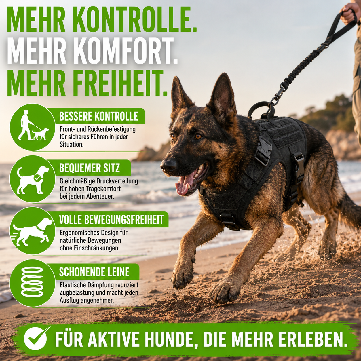 2 in 1 Komplettes Militär Hundegeschirr und Leinen-Set für Training und Spaziergänge