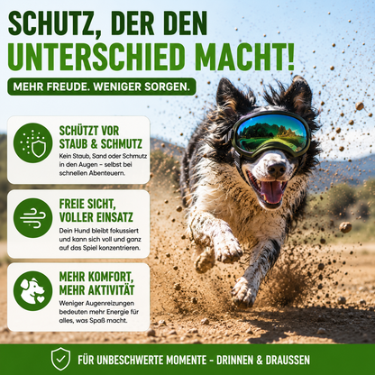 Hundebrille mit UV-Schutz für kleine & große Hunde – winddicht, verstellbar & Anti-Fog