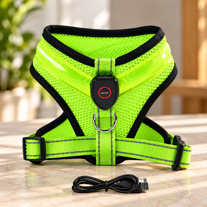 LED-Hundegeschirr mit USB-Aufladung Grün