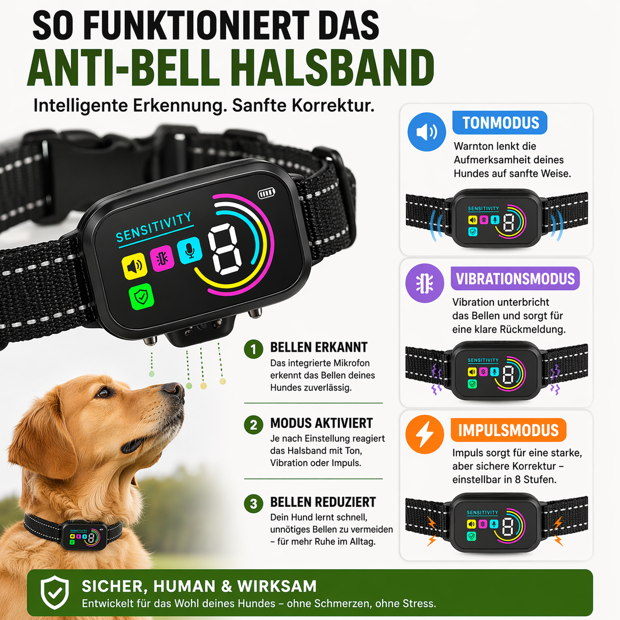Hundetrainingshalsband mit Display, USB-C & 3 Trainingsmodi