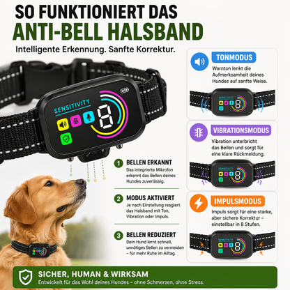 Hundetrainingshalsband mit Display, USB-C & 3 Trainingsmodi