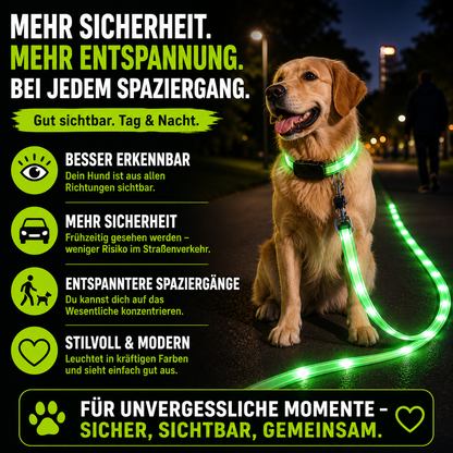 Leuchtendes LED Halsband & Leine für Hunde USB