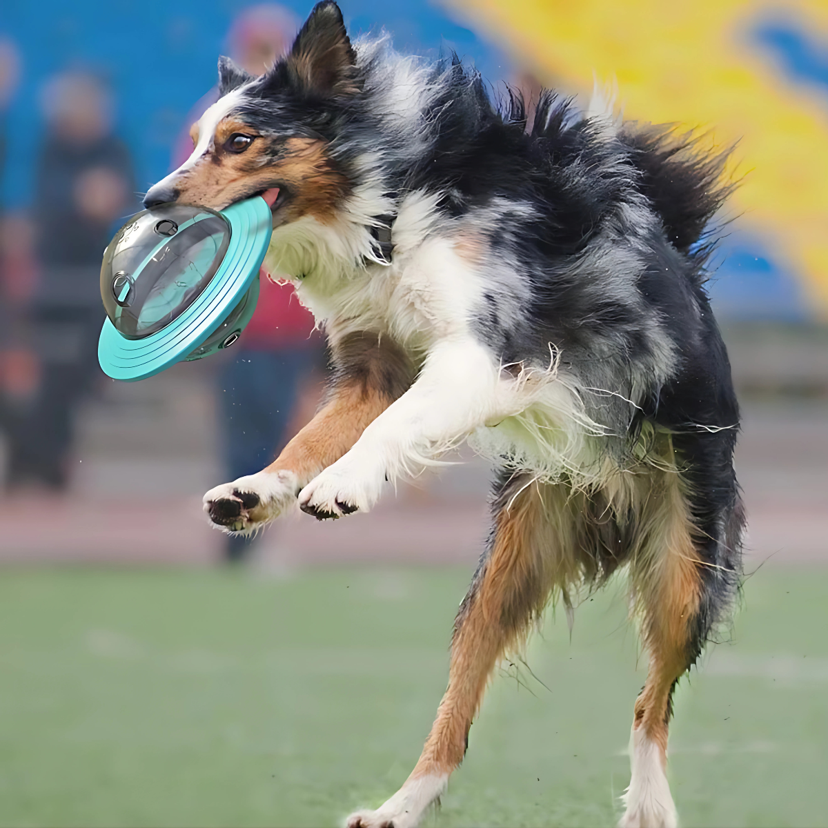 Interaktiver IQ-Leckerli-Ball für Hunde