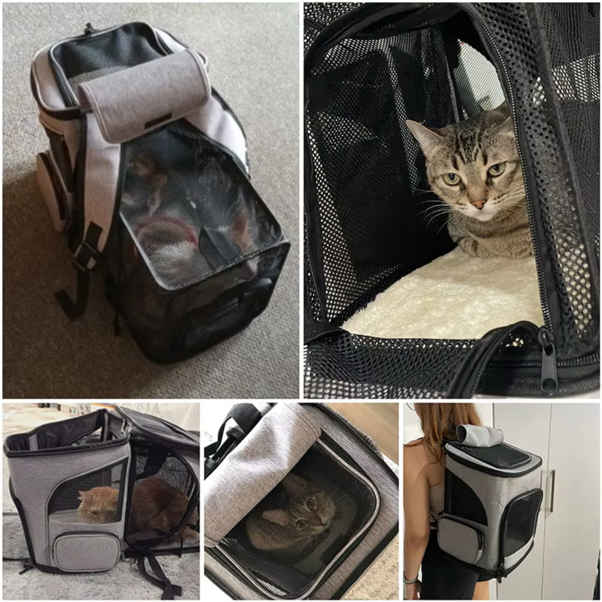 Hochwertige Reisetasche für Haustiere – Sicher, gemütlich und einzigartig! - Fluffy Adventures Haustiershop Erweiterbar Grau / Grau Mein Shop Faltbare Tragetasche für Haustiere Hochwertige Reisetasche für Haustiere – Sicher, gemütlich und einzigartig! Faltbare Tragetasche für Haustiere Mein Shop Erweiterbar Grau / Grau Fluffy Adventures Haustiershop