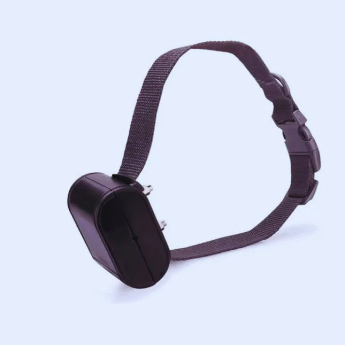 Haustier-Schutzzaun – unsichtbar, sicher & wasserfest für Hunde