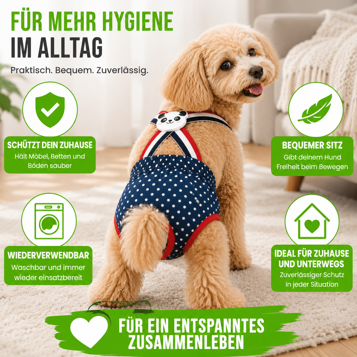 Hygieneshorts für Hunde waschbar & bequem