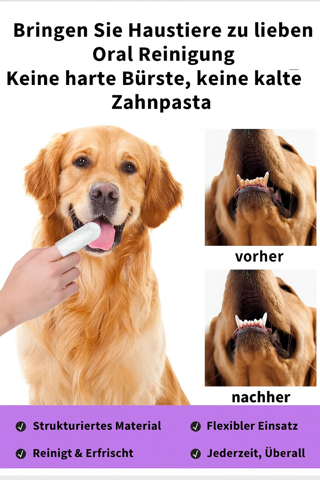 Zahnpflege & Ohrenreinigung für Haustiere – Einfach mit dem Finger!