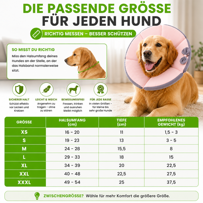 Weicher Schutzkragen für Hunde nach Operationen