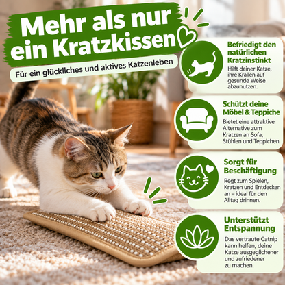 Kratzkissen für Katzen mit Catnip langlebig und robust
