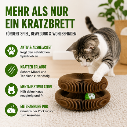 Magisches Katzen-Kratzspielzeug mit Spielball & extra dicker Wellpappe