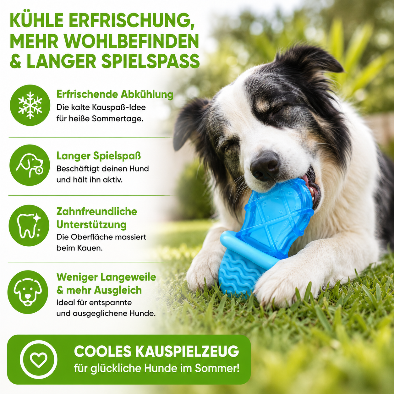 Kühlendes Kauspielzeug für den Sommer