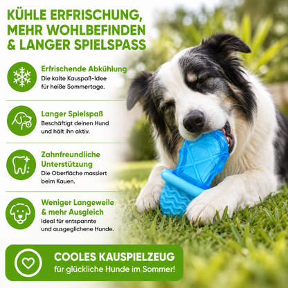Kühlendes Kauspielzeug für den Sommer