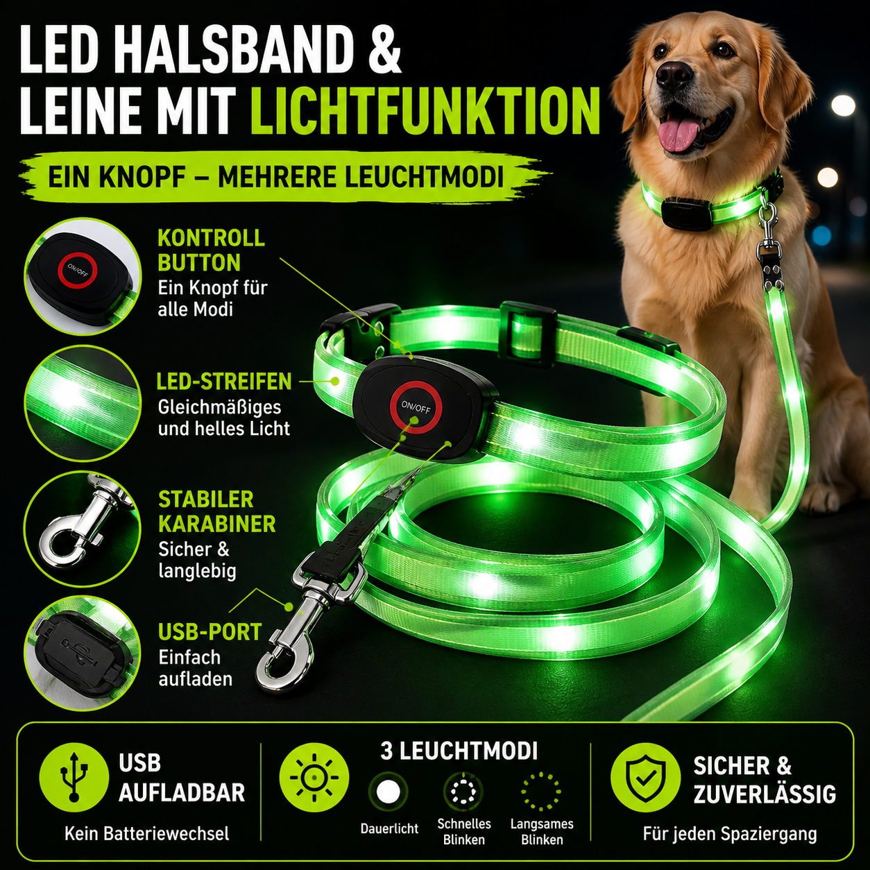 Leuchtendes LED Halsband & Leine für Hunde USB