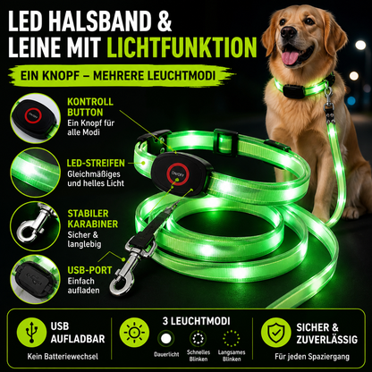 Leuchtendes LED Halsband & Leine für Hunde USB