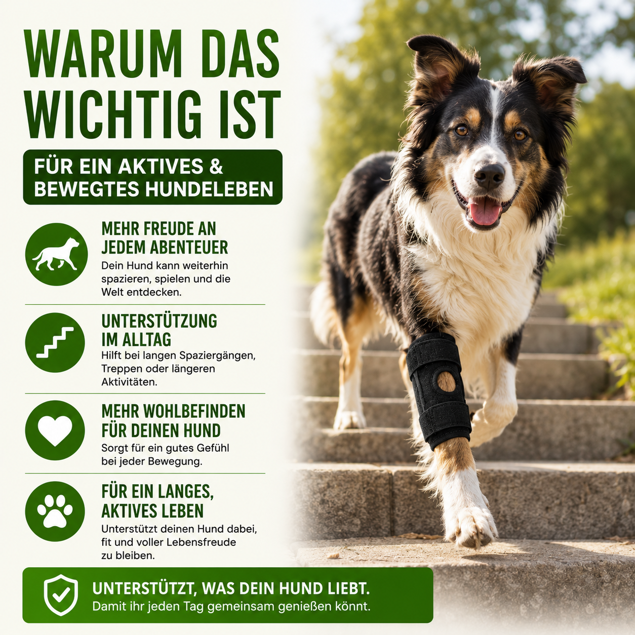 Orthopädische Gelenkbandage für Hunde stabilisierend