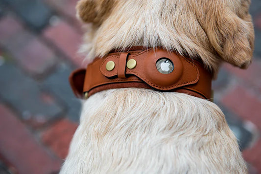 Echtes Lederhalsband mit Airtag-Halterung für Hunde 🐶📍 - Fluffy Adventures Haustiershop Sattelbraun 🤎 / S: 25 cm - 33 cm Mein Shop Hundehalsband mit Ortungsfunktion Echtes Lederhalsband mit Airtag-Halterung für Hunde 🐶📍 Hundehalsband mit Ortungsfunktion Mein Shop Sattelbraun 🤎 / S: 25 cm - 33 cm Fluffy Adventures Haustiershop