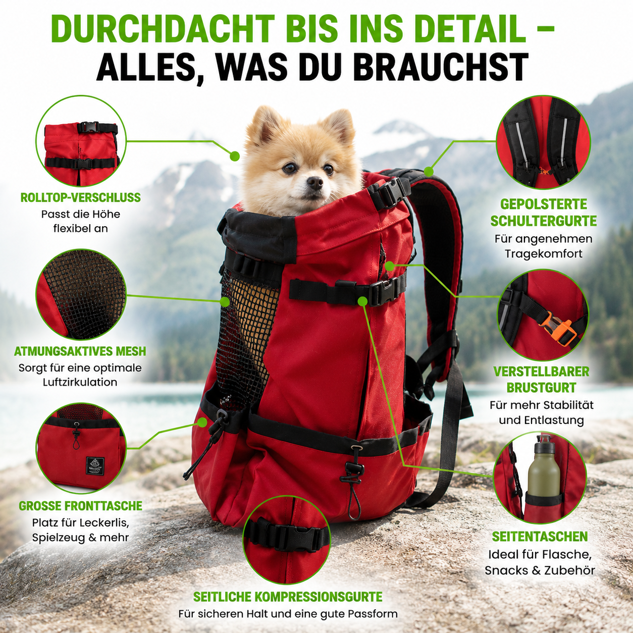 Atmungsaktiver Hunde-Rucksack für kleine & mittelgroße Hunde – sicher – Fluffy Adventures Haustiershop