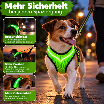 LED-Hundegeschirr mit USB-Aufladung