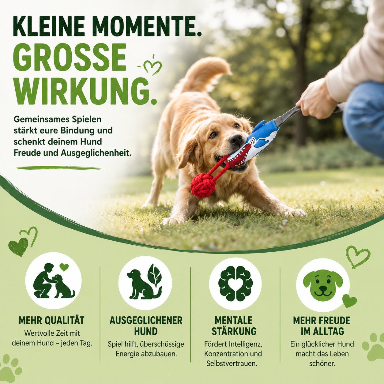 HaiZug Hundespielzeug mit Zugseil