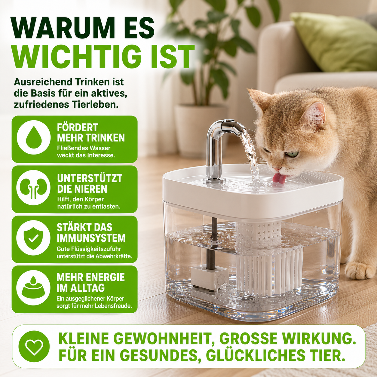 Leiser Katzen Trinkbrunnen mit Filter 1,5L