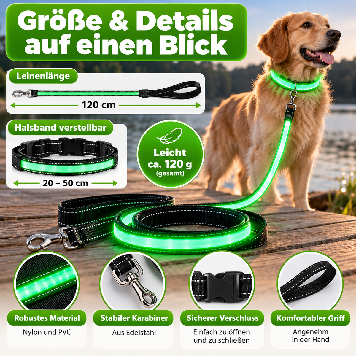 LED Hundeleine für Nacht & Spaziergänge