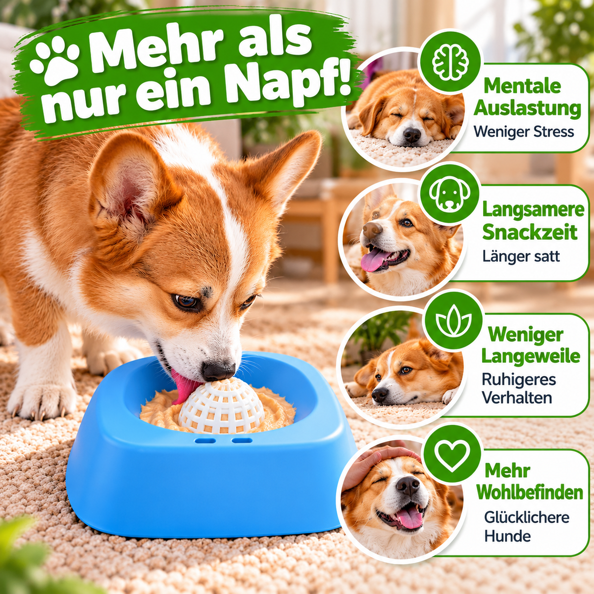 Schlecknapf für Hunde & Katzen mit Drehball