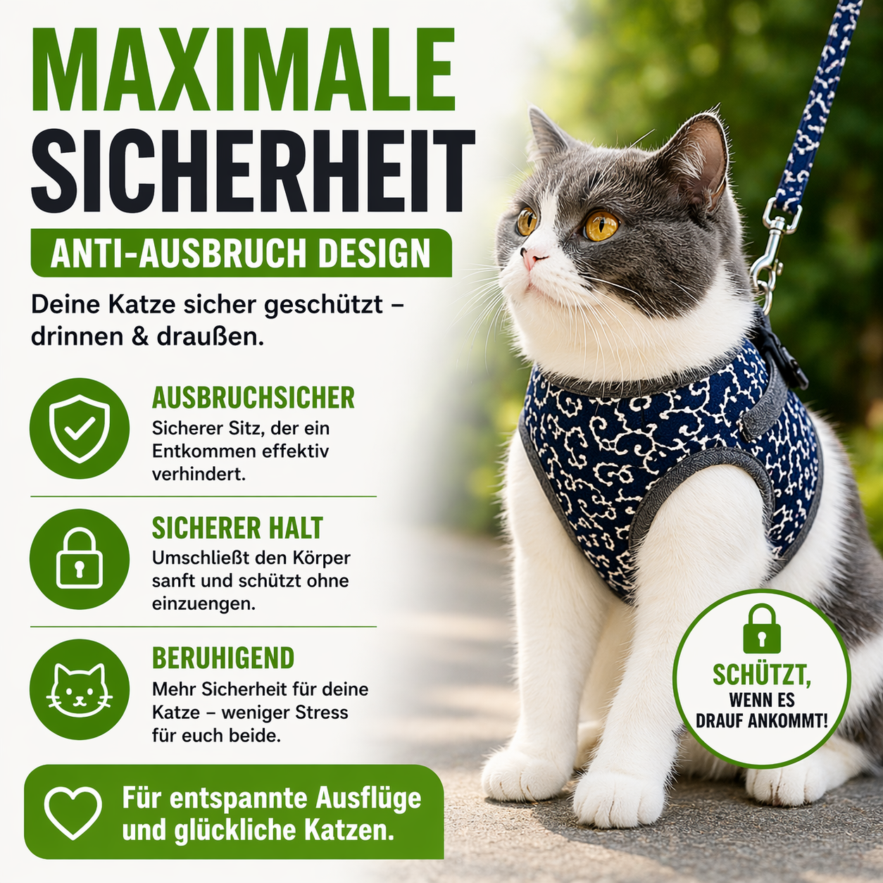 Top Seller: Ultra sicheres & atmungsaktives Katzengeschirr