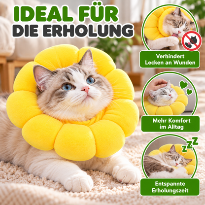 Weiche Sonnenblumen Schutzkrause für Katzen
