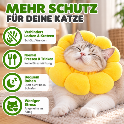 Weiche Sonnenblumen Schutzkrause für Katzen