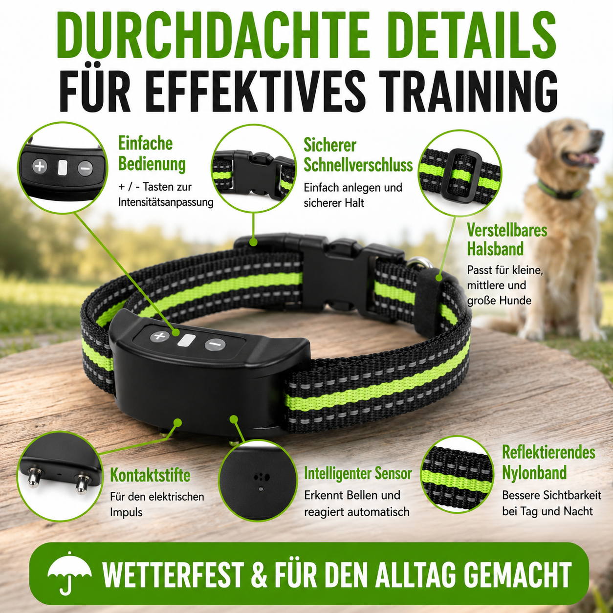 Automatisches Anti-Bell-Halsband mit Ton & Impuls