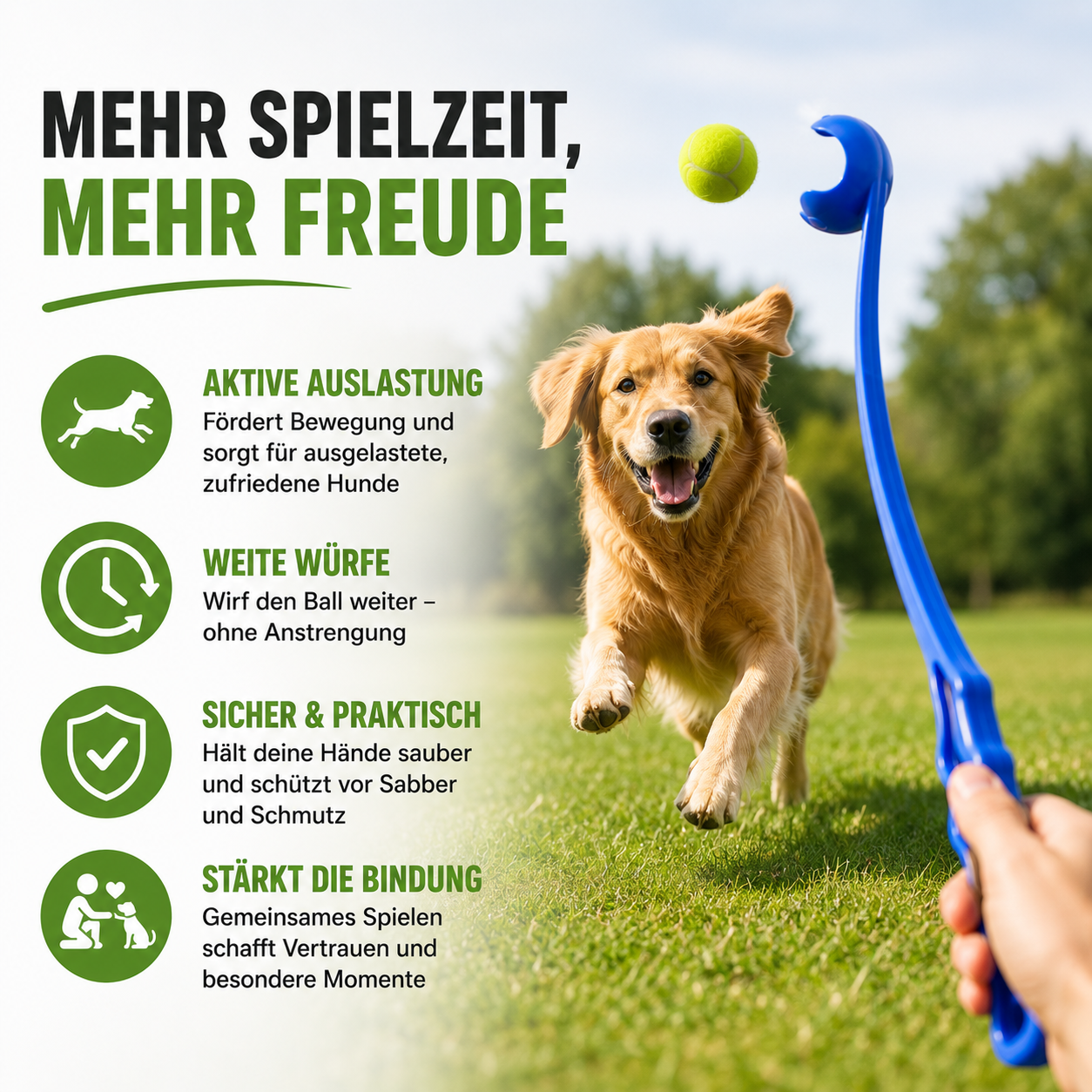 Freihändiger Ballwerfer für aktive Hunde