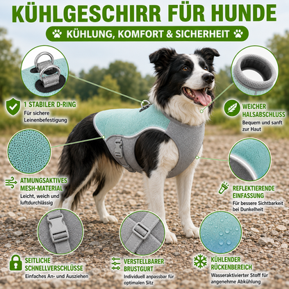 Kühlweste Hund mit Geschirr und Reflektoren