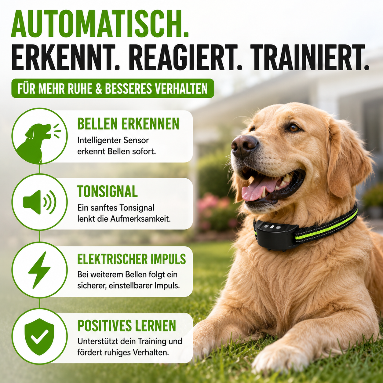 Automatisches Anti-Bell-Halsband mit Ton & Impuls