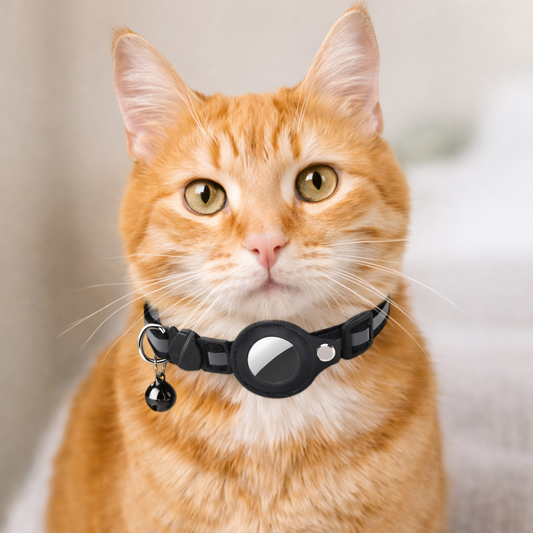 Sicheres Katzenhalsband mit AirTag-Halter & Klingel