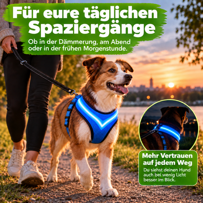 LED-Hundegeschirr mit USB-Aufladung