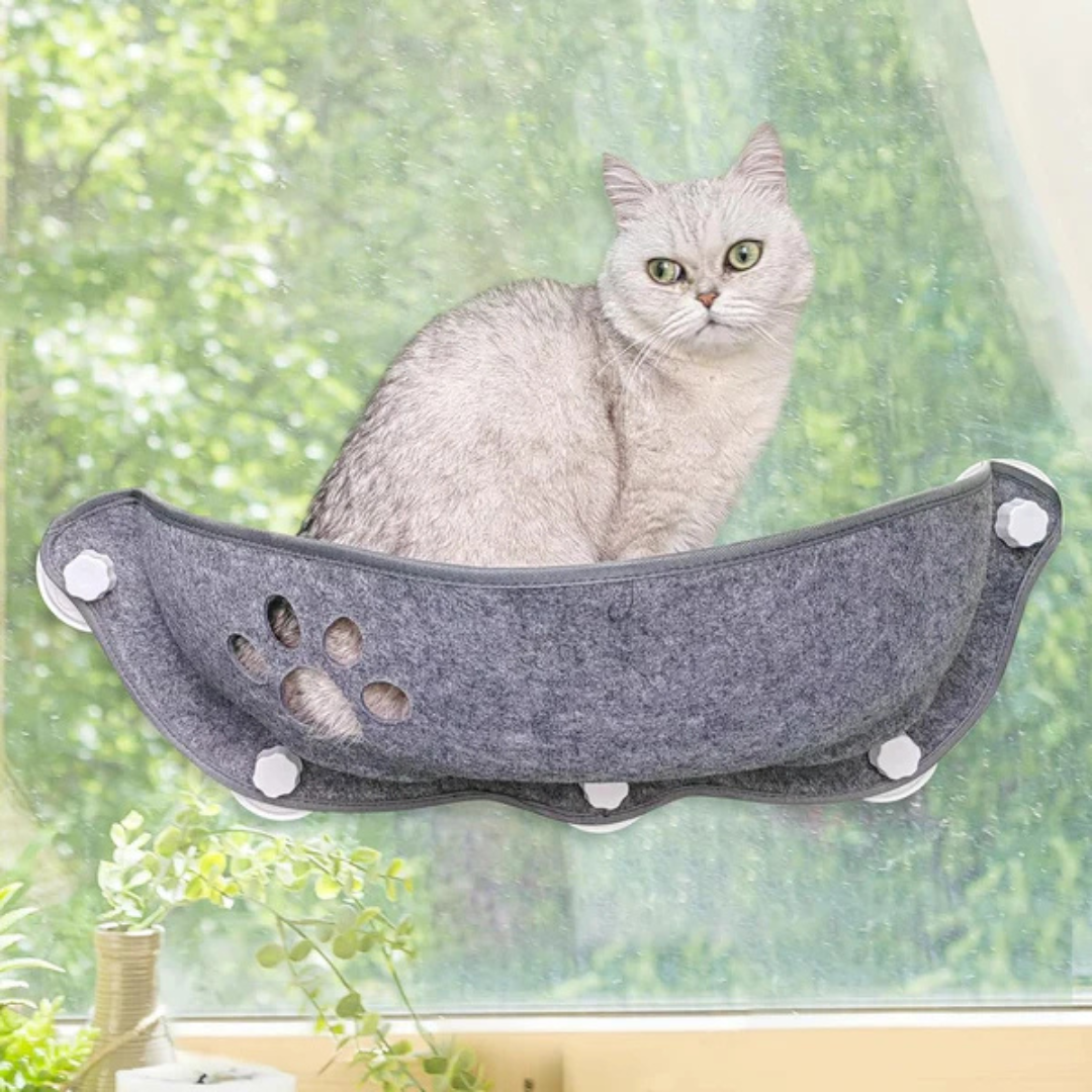 Katzen-Fenster Hängematte – Perfekte Aussicht für Ihre Samtpfote! - Fluffy Adventures Haustiershop Default Title Mein Shop Katzenhängematte Katzen-Fenster Hängematte – Perfekte Aussicht für Ihre Samtpfote! Katzenhängematte Mein Shop Default Title Fluffy Adventures Haustiershop