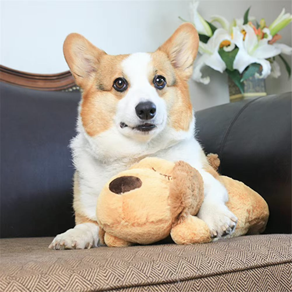 KuschelHerz Hundespielzeug – für treue Haustiere! 💖🐶 - Fluffy Adventures Haustiershop Default Title Mein Shop Hundespielzeug KuschelHerz Hundespielzeug – für treue Haustiere! 💖🐶 Hundespielzeug Mein Shop Default Title Fluffy Adventures Haustiershop