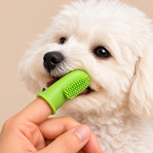 Weiche Fingerzahnbürste für Hunde – Sanfte Zahnpflege
