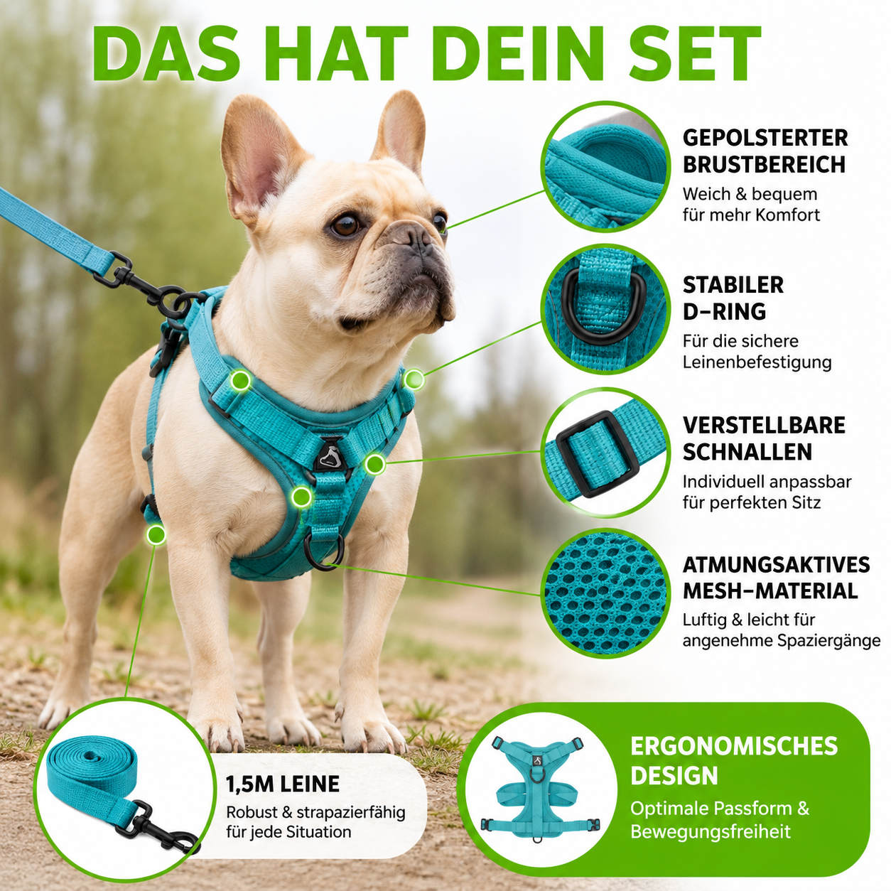Zugfrei Hundegeschirr & Leinen-Set