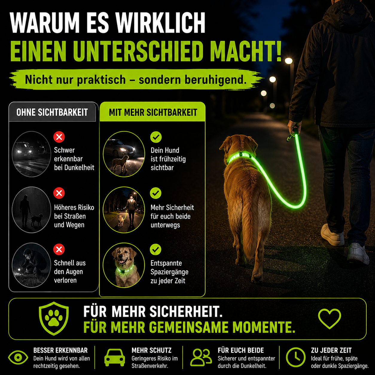 Leuchtendes LED Halsband & Leine für Hunde USB