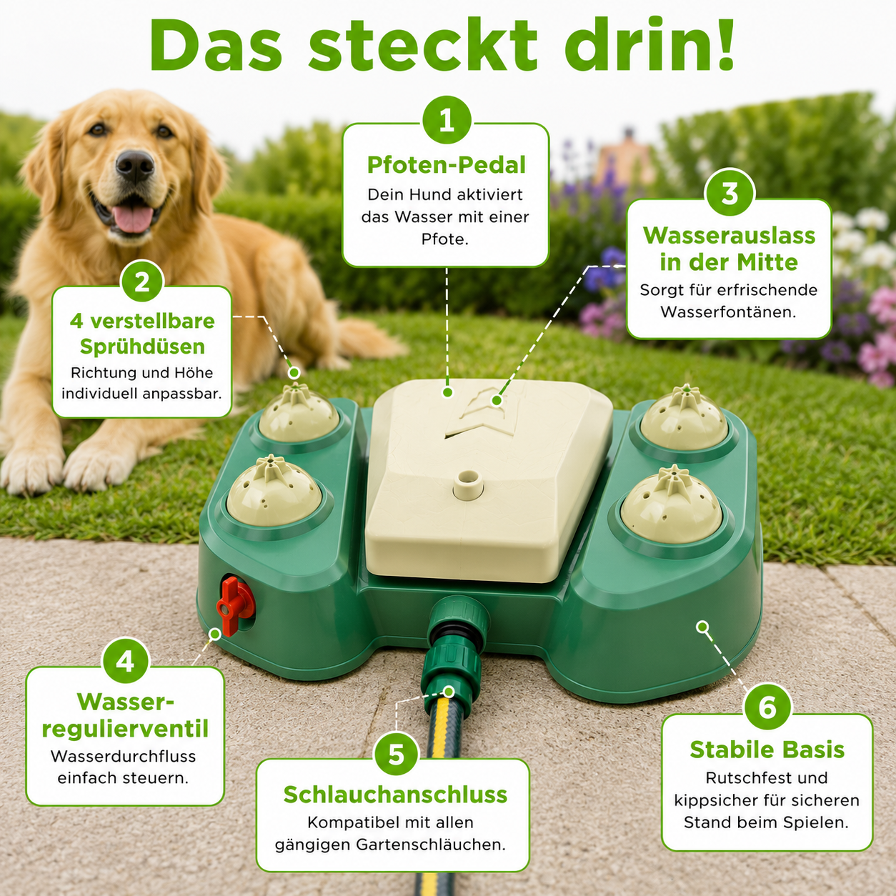 Multifunktionaler Hunde-Sprinkler mit Trinkbrunnen