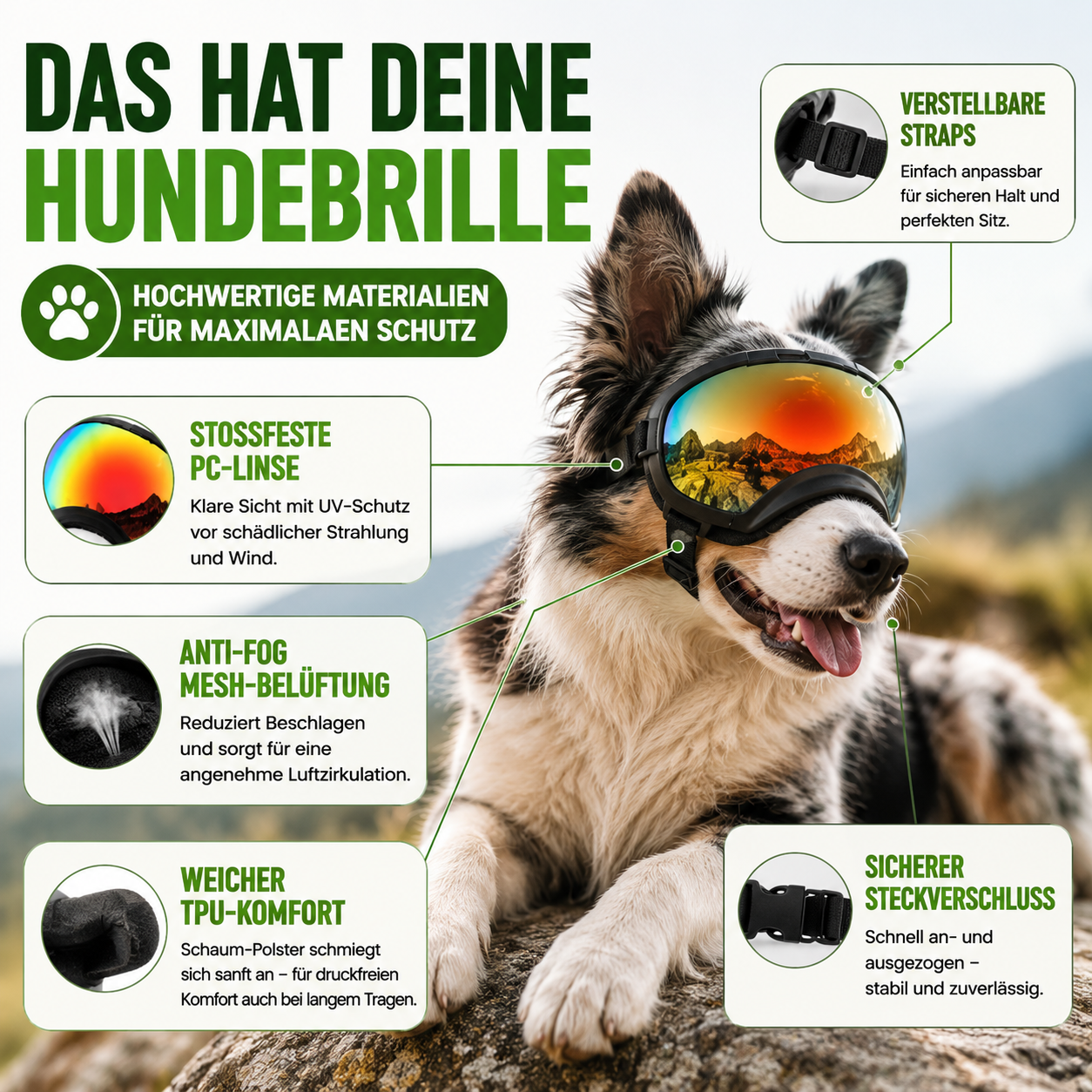 Hundebrille mit UV-Schutz für kleine & große Hunde – winddicht, verstellbar & Anti-Fog