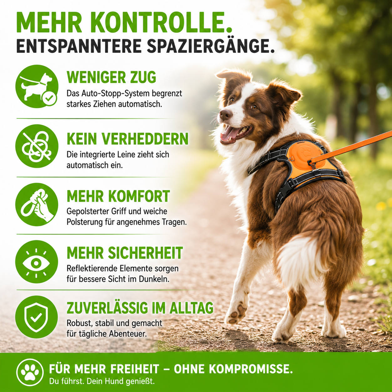 Anti-Zug Hundegeschirr mit Leine & Auto-Stopp-System