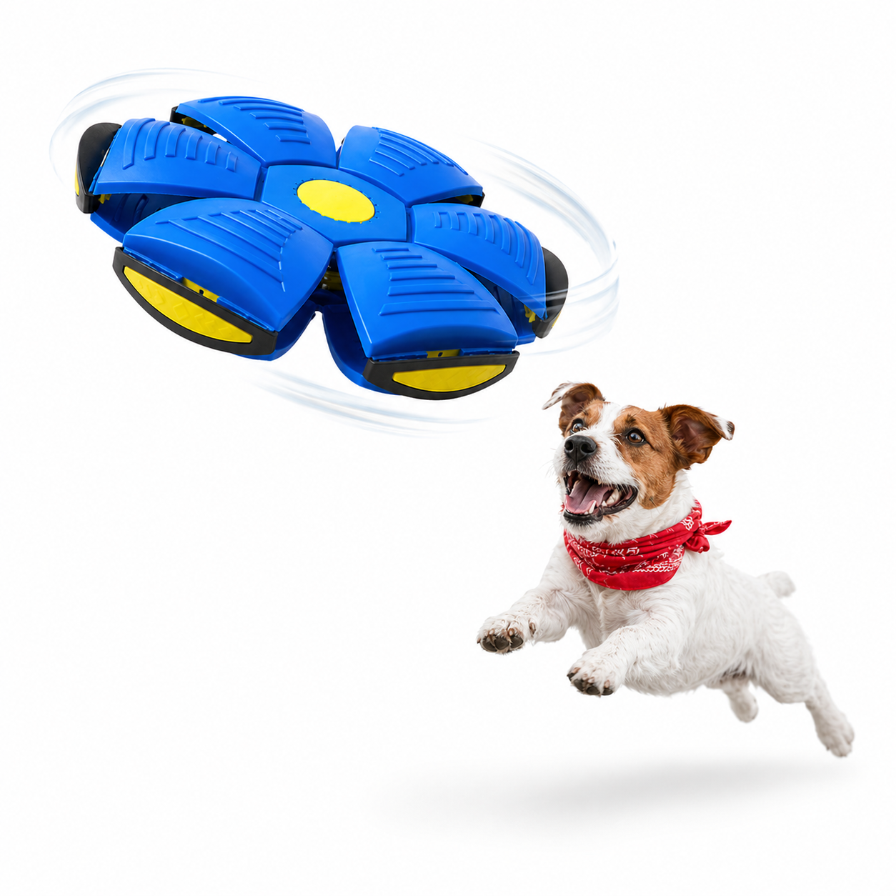 Hunde Frisbee Ball für Spiel & Training